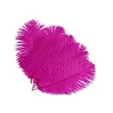 Shekyeon 8-10inch(20-25cm) Ostrich Feather Plumes Wedding Centerpiece Table Decoration Pack of 20(Fuchsia)