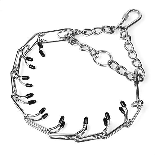 Best Dog Pinch Collars Buying Guide Gistgear