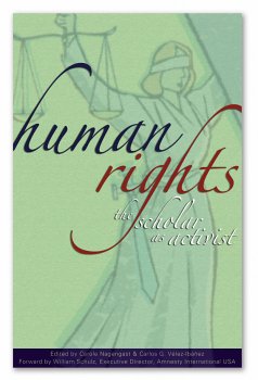 Paperback Human Rights: The Scholar as Activist Book