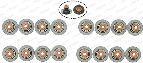 PAYEN PA6094 PARAOLI - Set da 16