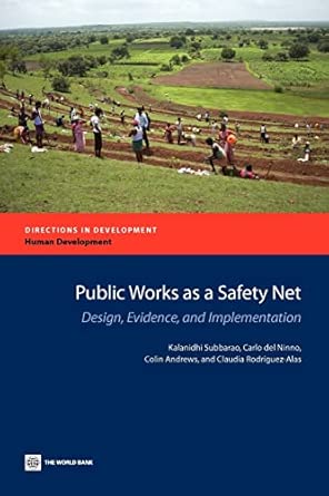 Public Works as a Safety Net (Directions in Development: Human Development): Design, Evidence, and Implementation book cover