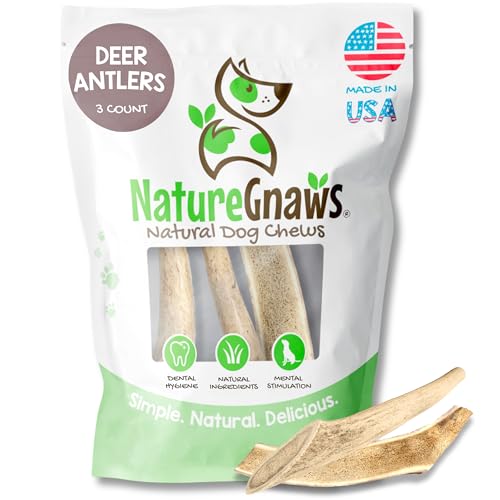 Nature Gnaws USA Deer Antlers for Dogs 4-7' (3...