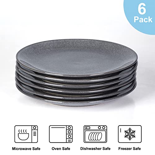 Auanlay 10 Inch Ceramic Dinner Plates Set Of 6, Large Porcelain Dinner Plate Sets For Dessert Salad Pasta, Stoneware Dishes For Kitchen, Microwave And Dishwasher Safe (Grey-6Pcs, 10 Inch) #TOP2