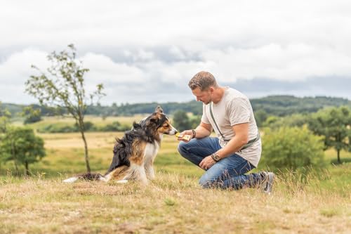 TRIXIE Hundeleckerli PREMIO Hunde-Lachscreme 110g - Premium Leckerlis für Hunde glutenfrei - ohne Getreide & Zucker, schmackhafte Belohnung für Training & Zuhause - 3178-1
