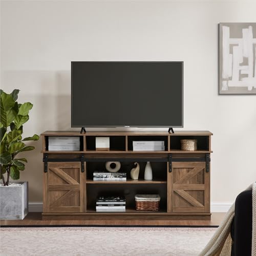 Furrnook TV Stand Sliding Barn Door Modern & Farmhouse Wood