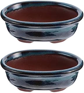 Happyyami 2pcs Ceramic Succulent Planter Ceramic Bonsai Pots Garden Decorative Pots Cactus Stand Glazed Flower Container Bowl