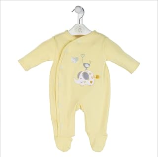 Dandelion Clothing Baby Dandelion Clothing Unisex Baby Baby Cotton Sleepsuit