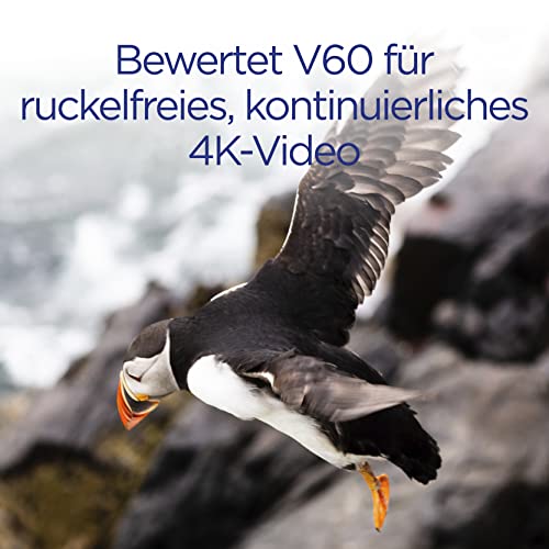 SDXC 128 GB Integral UHS-II SD-Karte mit 260 MB/s Lesegeschwindigkeit