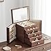 Homruilink Black Walnut Wooden Jewelry Box, Wood Jewelry Organizer with 2 Side Doors Mirror Lockable Classical Style for Watch Necklace Ring Earring Storage Valentines Day Gifts for Her-5 Layer