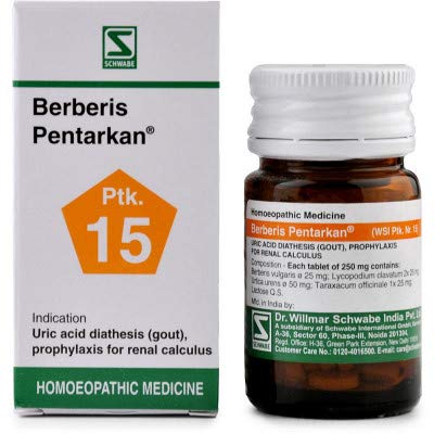 ShopHomeo® - Berberis pentarkan_Tablets (20 Grams) by WSICo. | Pack of 1 Bottles