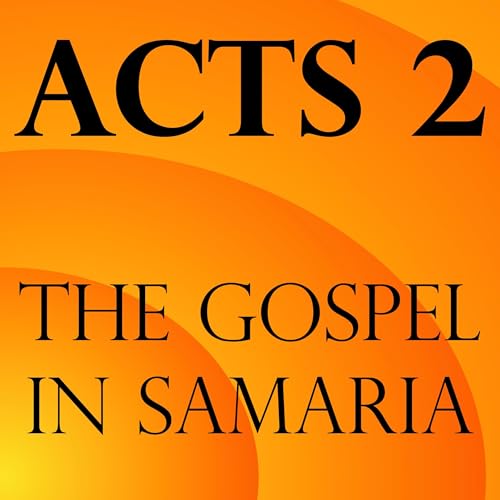 2. Acts 6:8-8:1 - Acts 2 - The church&rsquo;s first martyr - Aneal Appadoo - 260510