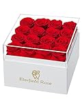 Eterfield Forever Flowers Preserved Roses Real Roses that Last Over a Year Rose Box Gifts for Her Mothers Day Valentines Day Christmas (Square White Box, 16 Red Roses)