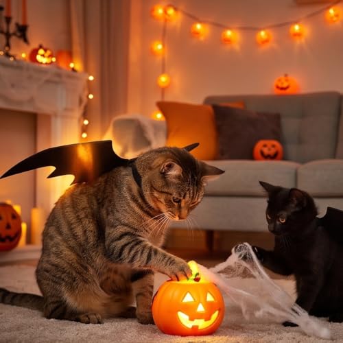 Dark Halloween Bat Wing Style Cat Costumes for Halloween Cosplay Party - image 7