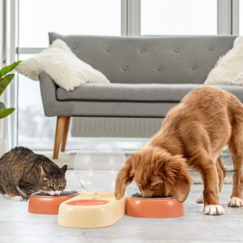 Lomnyiy Automatic Pet Water Food Dispenser+Stainless Steel Feeding Bowl Set. Automatic Cat Dog Feeder And Food Water Dispenser .For Cat And Small Medium Dog Pets Puppy Kitten (Orange) #TOP6