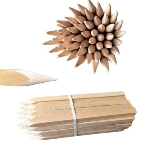 Holzpfähle Buchenholz Quadratisch 25 Stück - Längen 100 cm Holzpflöcke für Markierungen Robuste Spitze Tomatenstäbe Pflanzstäbe Zaunpfosten Tomaten Rankhilfe 25 mm x 25 mm