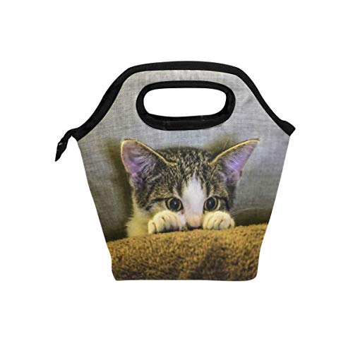 SoreSorei\\j`obO ٓobO ۗobO N[[obO ٓ ٓۗ  킢 Y fB[X ǂ ʋ ʊw wZ  ۉ e g[g^ ˂ L lR 