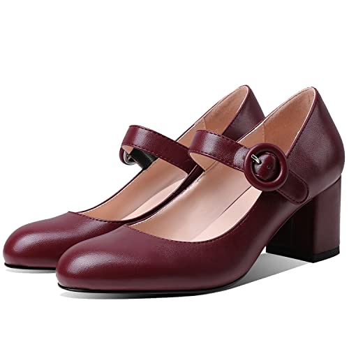 MOOMMO Women Classic Mary Jane Heels Pumps Shoes Ankle Strap Closed Round Toe Dress Sandals Chunky Block Heels Comfort Wedding Party Evening Pump Mid Heel Basic Office Work Shoes Elegant 4-11 M US