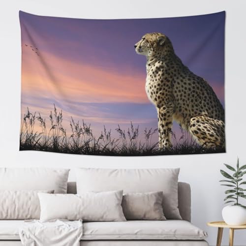 Poadnly Guepardo mirando hacia Savannah con el cielo del atardecer,Tapiz decorativo de pared duradero para sala de estar y dormitorio, 152 x 102 cm