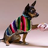 Handmade Dog Poncho – Mexican Poncho for Dogs – Serape Dog Sweater for Small and Large Breeds – Warm and Cozy Dog Poncho Blanket – Cute and Colorful Handmade Dogs Clothes – (Pink, XX-Small)