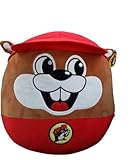 Buc-ee's Soft n' Squishy Pillow