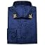 Blue Paisley