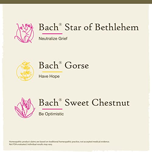 Bach Original Flower Remedies, Hope And Joy Kit, For Comfort And Optimism, Natural Homeopathic Flower Essence, Holistic Wellness, Vegan, 3 X 20Ml Droppers #TOP2