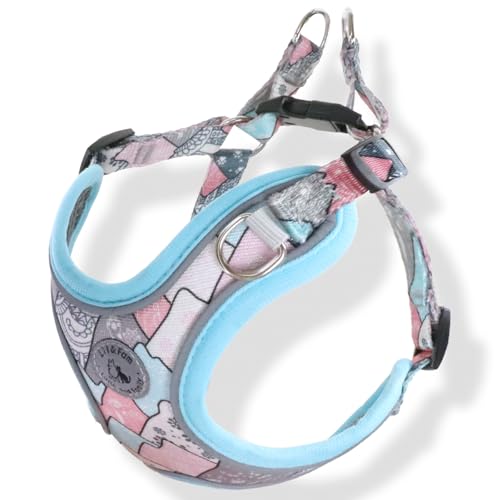 Lil&Fam  n[lX ^ ^ ĝɗD  ȒP ˍޕt 킢  a_Aht@(u[, XS)