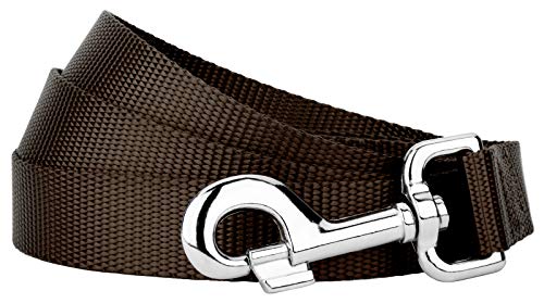 Country Brook Petz - Everyday Nylon Dog Leash (1 Inch Wide, 6 Foot, Brown)