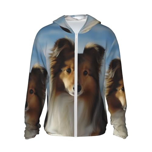 Veste à capuche pour chien Shetland UPF 50+ manches longues pour mer et rando