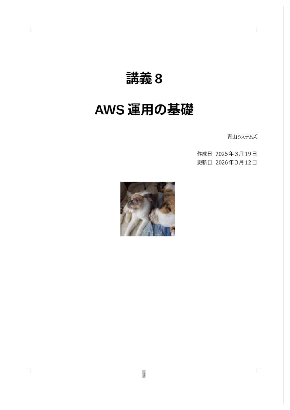 AW運用の基礎 (講義)