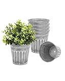 vensovo 6 Inch Silver Metal Rustic Flower Pots - 6Pcs Galvanized Planters with Drainage Hole and Rubber Plug, Rustproof Metal Bucket Plant Pots Farmhouse Vintage Style for Decor