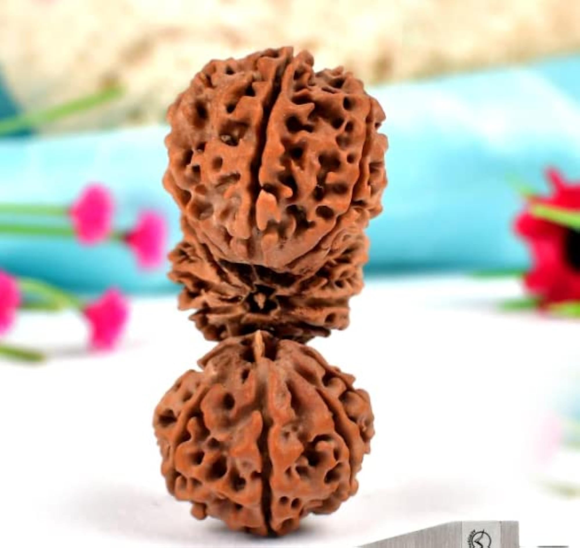 Trijuti Rudraksha, Original Nepali Bead