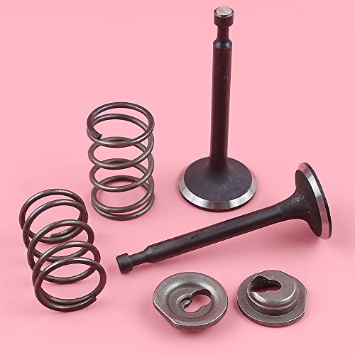 Ressorts de soupape admission échappement GX160 GX200 pièces moteur débroussailleuse