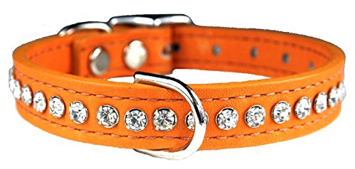 Image of Signature Leather Crystal Dog Collar, Mandarin Solid Grain Leather, Fits 6 inch-8 inch Neck Size, 10 inch Overall Length