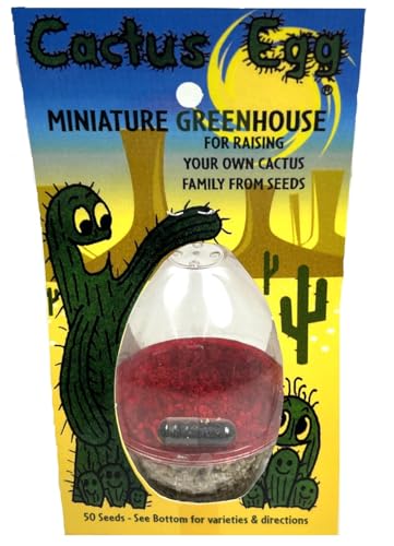 Arizona-Sun Cactus Egg Mini Greenhouse Yellow