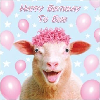 Birthday Card "Happy Birthday To Ewe" Funny Animal Sheep Goggly 3D Moving Eyes