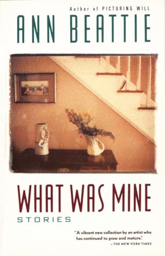 What Was Mine: & Other Stories (Vintage Contemporaries)