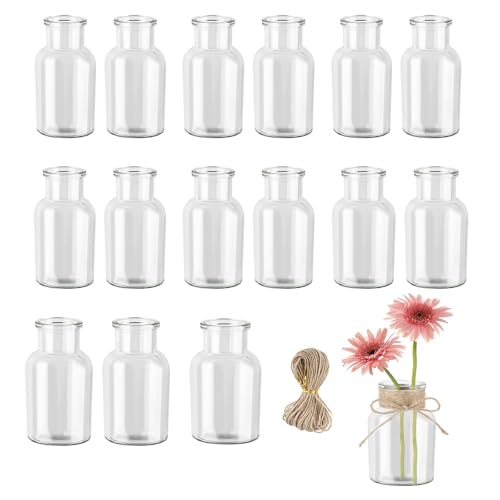 BOPEUY Mini Vases en Verre, 16 Pièces 125ml Vase Transparent Verres,Petits Vases Decoratifs en...