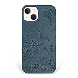 OceanMata