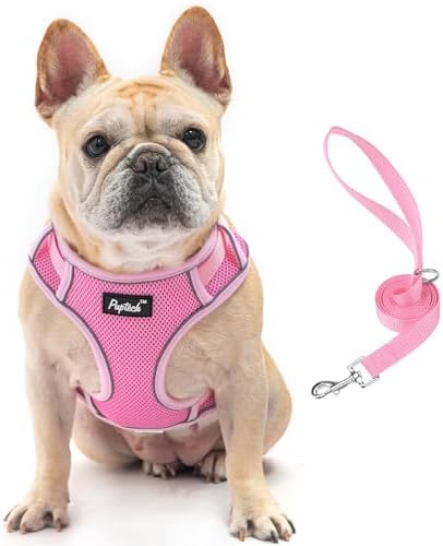 PUPTECK Dog Harness and Leash Set for Small Medium Dogs No Pull, Soft Mesh Adjustable Puppy Cat Harness Reflective at Night, Pink M