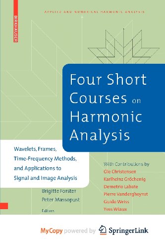 Four Short Courses on Harmonic Analysis view 2