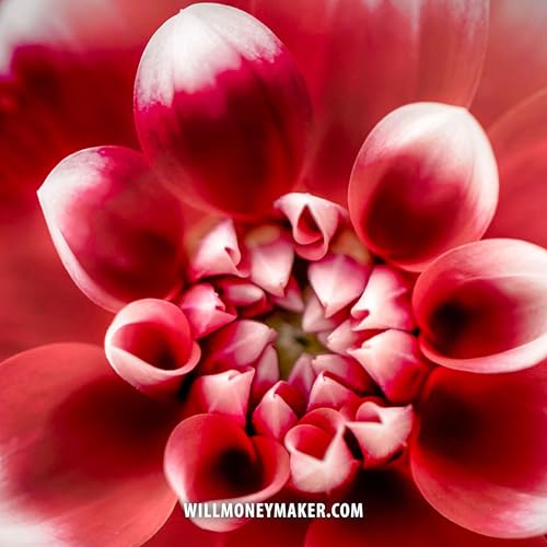 WM-514: Branching Projects and Spinoffs | Photography Clips Podcast Podcast Por  arte de portada