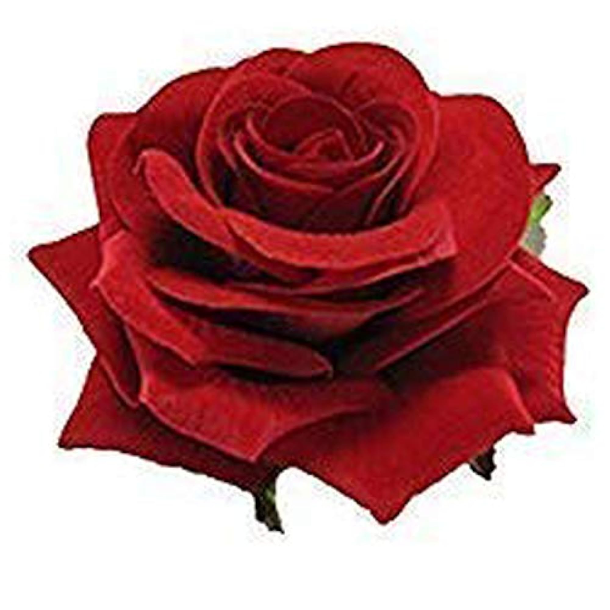 Rose Flower Hair Clip, Red Pack of 1