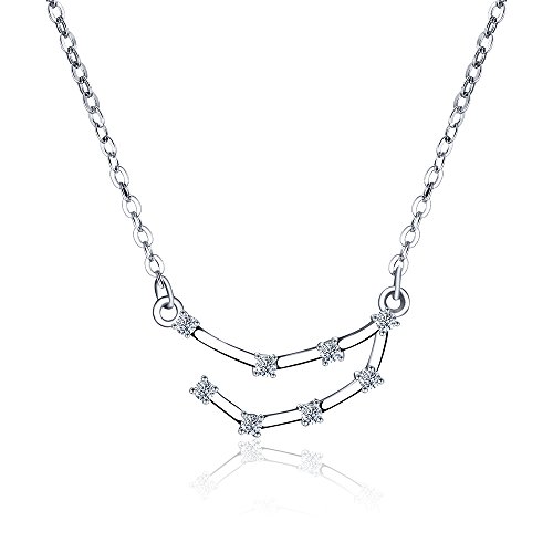 Image of H.ZBRUJ Capricorn Sign Necklace Zodiac 925 Sterling Silver 12 Horoscope Astrology CZ Pendant Charm Constellation Choker Gift for Women Wife Daughter Lover Girlfriend