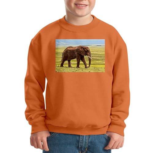 Sweatshirt enfant éléphant d'Afrique confortable et chaud pour l'école - 2