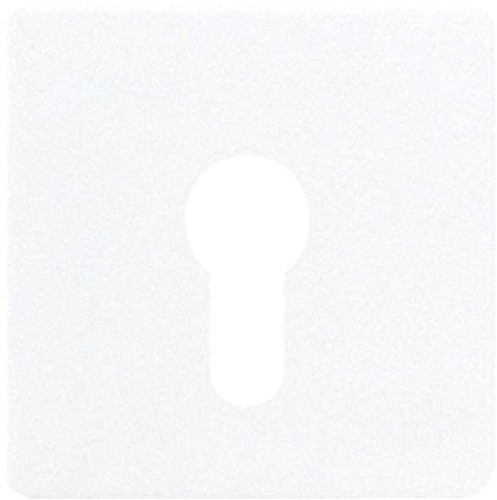 Jung CD525SW cache pour interrupteur à clé noire plaque de fermeture