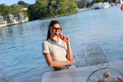 FEISEDY Retro Square Aviator Sunglasses Women Men 70s Vintage Trendy Plastic Frame Sun Glasses B41583