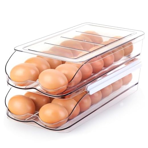 RoskDeewat Egg Holder for Fridge, Automatic Rolling Egg Container for Refrigerator, Stackable Fridge Organizers and Storage with Lid, Clear Plastic Egg Dispenser & Tray (2 Tier)