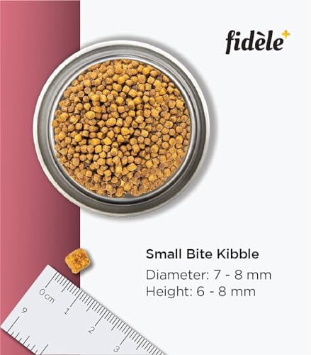 Image of Fidele+ Dry Dog Food 3 Kg Small & Medium Breed Puppies Complete & Balanced Diet Supports Growth, Energy, Joints & Immunity No Artificial Flavours, Preservatives
