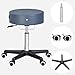 Master Massage Glider Ergonomic Round Swivel Adjustable Rolling Hydraulic Stool in Royal Blue Barber Dental Chair for Therapist, Clinic, Tattoo, Spas, Beauty, Lash, Salons, Home, Studio, Office